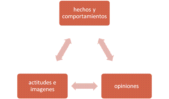 Investigacion de Mercado 8